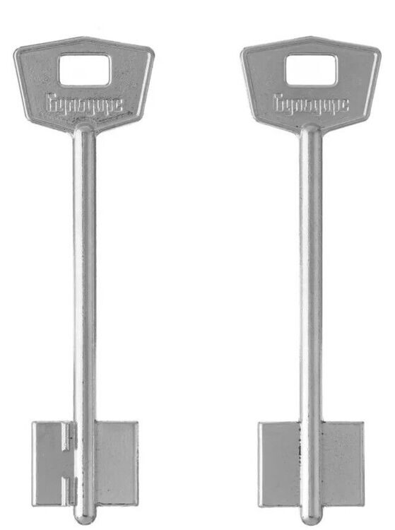 Заготовка ключа Бульдорс-2 100*22*17,4 мм, лат., лит., тонкий